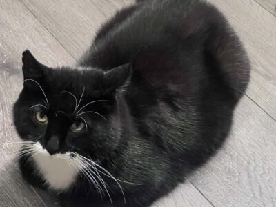 Ludvig