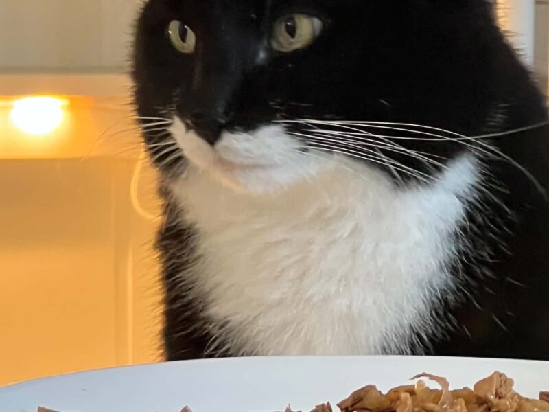 Ludvig