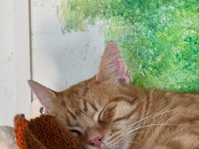 Miko