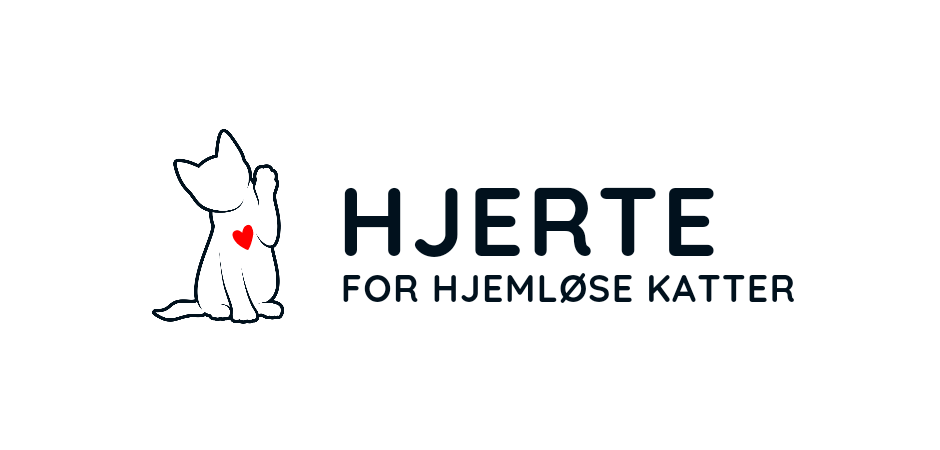 hjerte for hjemløse katter adoptere katt