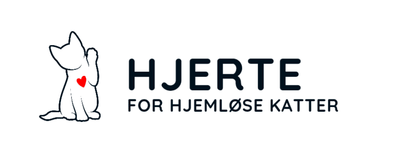 Adoptere Kattunger | Adoptere Kattunger | Hjerte for Hjemløse Katter