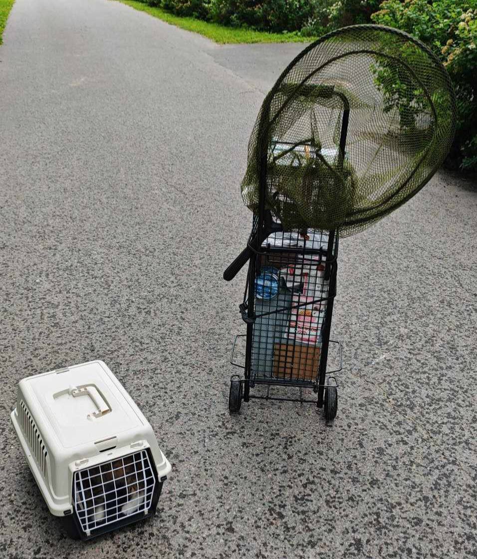 Aferdita6 Sienna sin "bat-mobil" med felle, håv og bur.