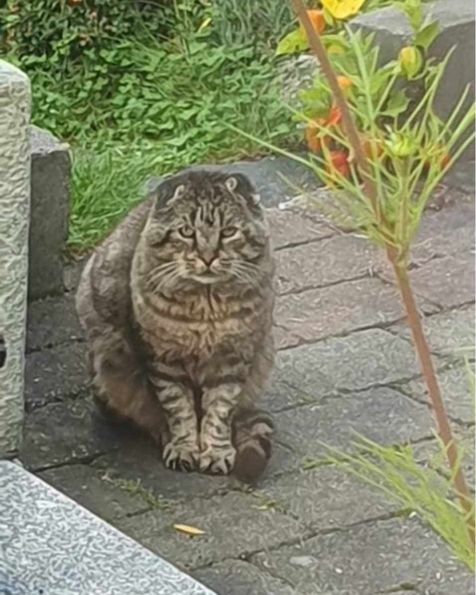Bastian5 Bastian ute før han ble reddet inn