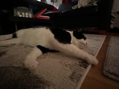 Oreo
