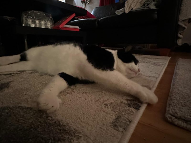 Oreo