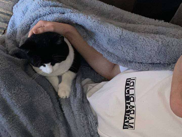 Oreo