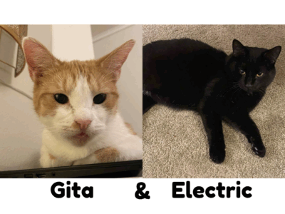Gita & Electric