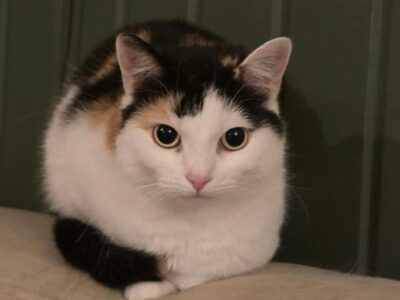 Olivia