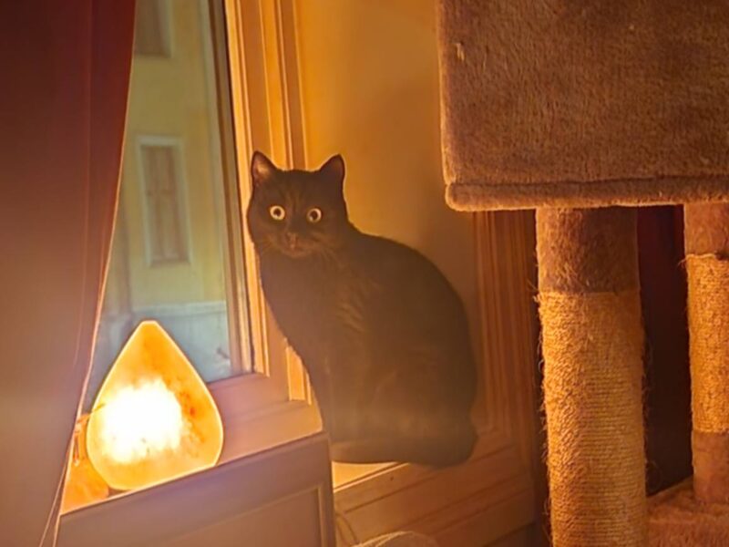 Onyx