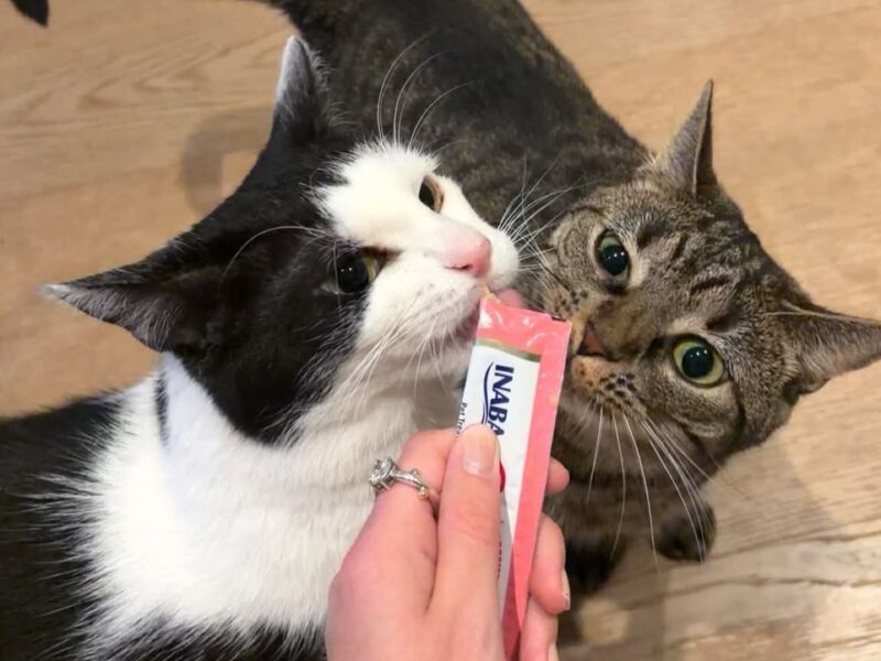 Hedvig & Villemo